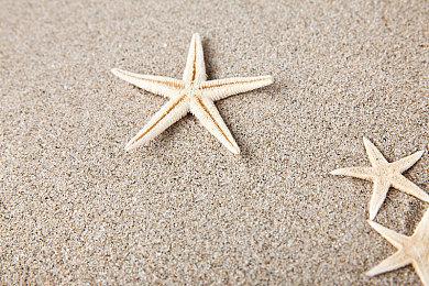 《地平线：零之曙光》PC原版已被下架 为重制版让路