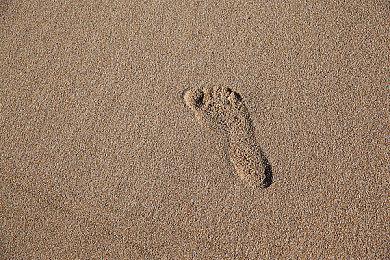 Switch横版弹幕游戏《棉花幻想》新预告 延期至春季内发售